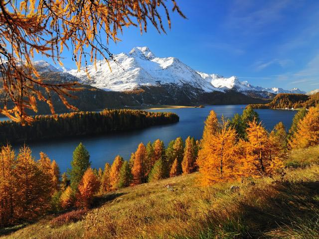 想進行競爭分析嗎?以下是你應該做的7個理由 想進行競爭分析嗎?以下是你應該做的7個理由